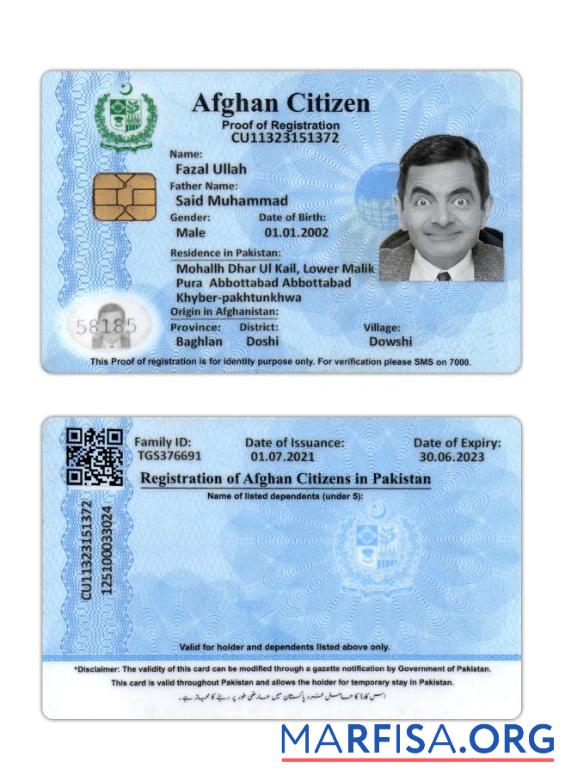 Downloadable Afghan Citizen Proof Of Registration template